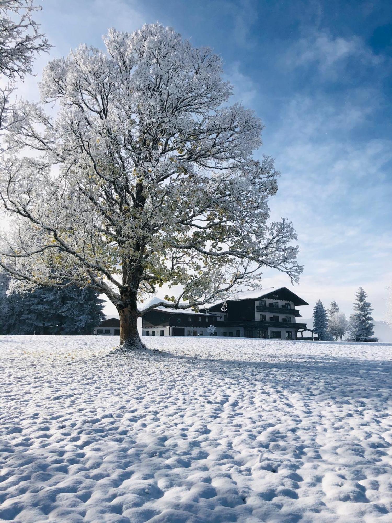Kraftplatz Am Dachstein - Herold - Fuer Ruhesuchende Und Sportlich Aktive Ramsau am Dachstein Dış mekan fotoğraf